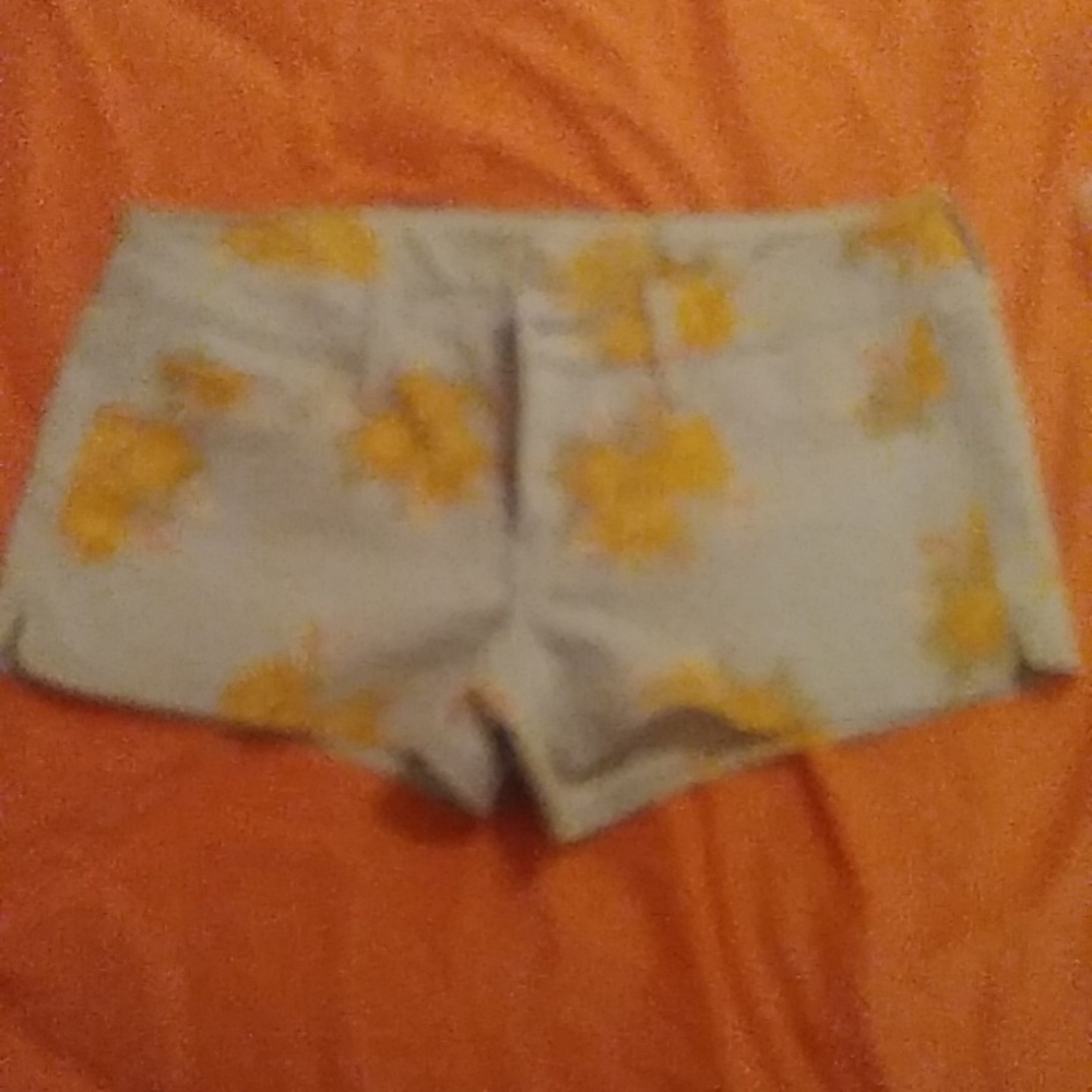NWT-American Eagle Outfitters Floral Denim Shorts 10
